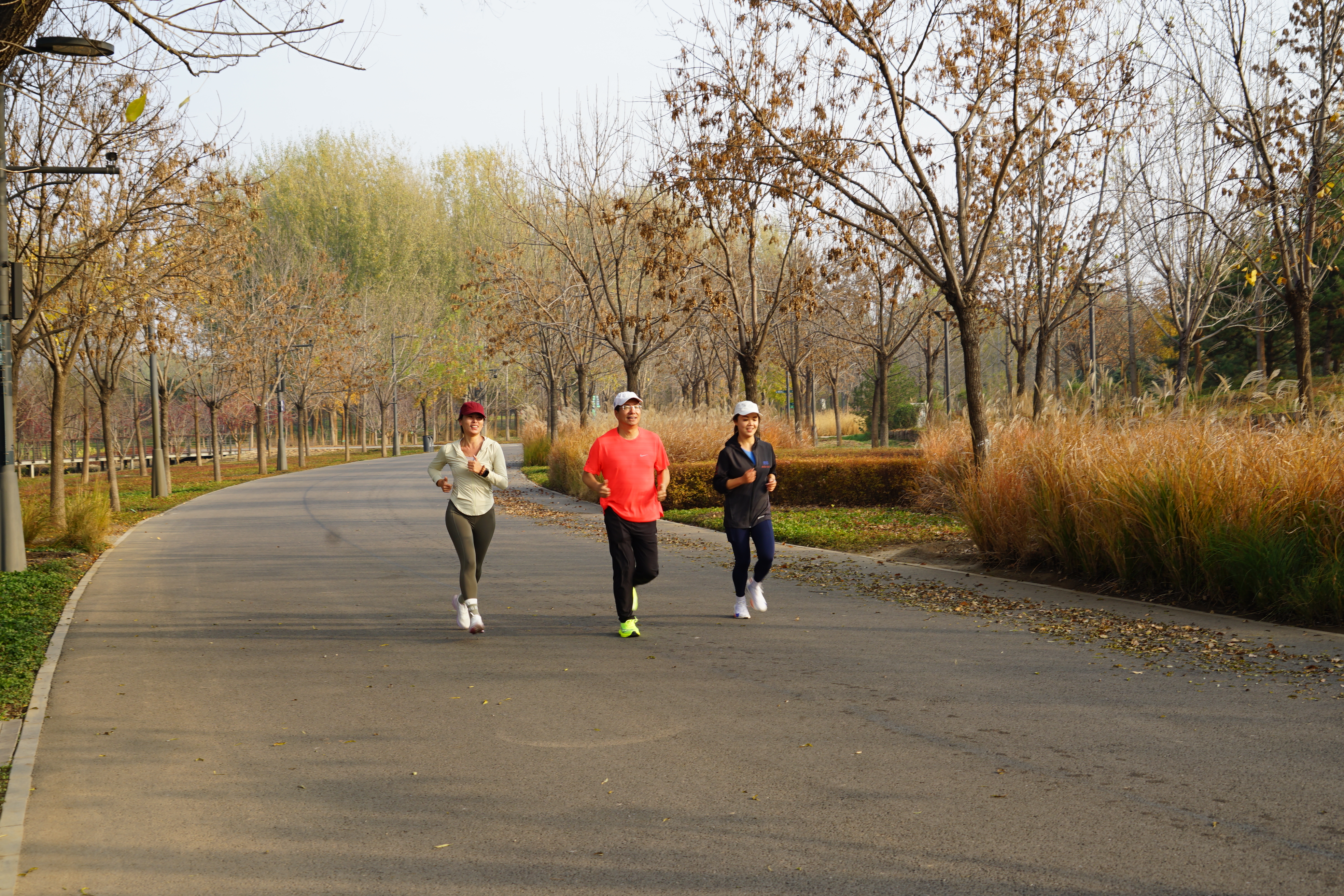 555000公海贵宾会登录