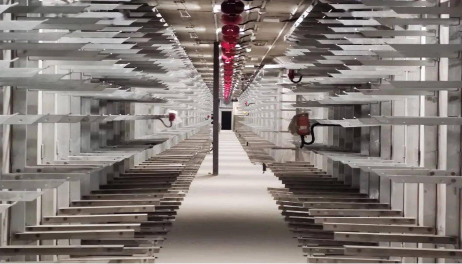 555000公海贵宾会登录