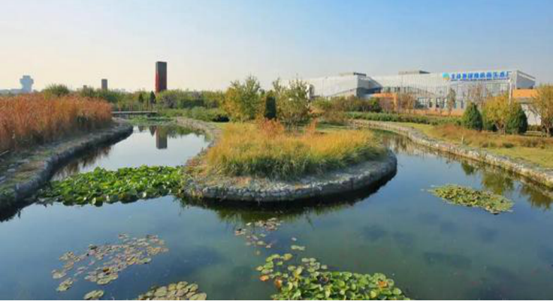 555000公海贵宾会登录